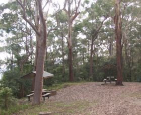 Orara East State Forest - Hobart Tourism 2