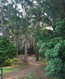 Orara East State Forest - Hobart Tourism 1