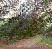 End Peak walking track - Hobart Tourism