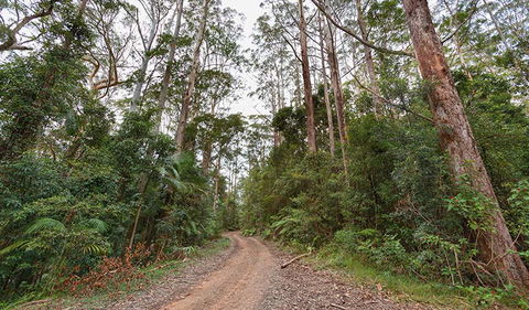 End Peak Walking Track - Hobart Tourism 0