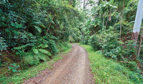End Peak Walking Track - Hobart Tourism 2
