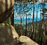 Mount Gulaga Mount Dromedary Walk - Tourism TAS