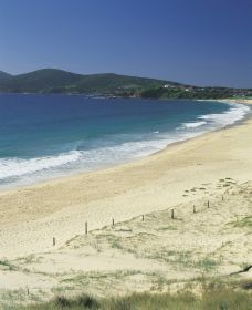 Forster NSW Tourism TAS