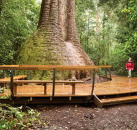 Burrawan State Forest - Tourism TAS