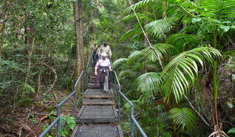 Falls Walking Track - Hobart Tourism 2