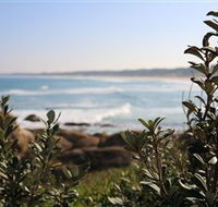 Cape Conran Coastal Park - Tourism TAS
