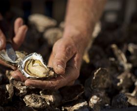 Food, Wine And Farmers Gate Journey On The Legendary Pacific Coast - Hobart Tourism 2