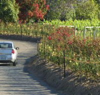 Cassegrain Wines - Tourism TAS