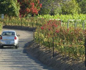 Cassegrain Wines - Tourism TAS 0