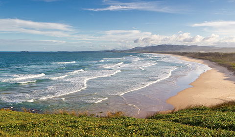 Moonee Beach Nature Reserve - Tourism TAS 1