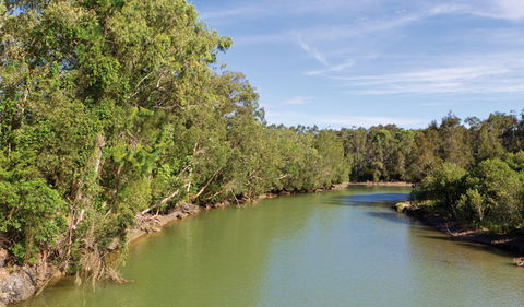 Woolgoolga Lake - Tourism TAS 1