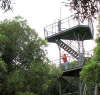 Cape Hawke lookout - Tourism TAS