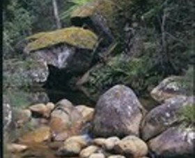 Mumbulla Creek Falls And Picnic Area - Tourism TAS 1