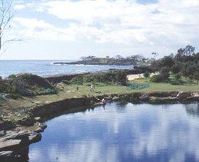 Angourie Blue Pool - Hobart Tourism 1