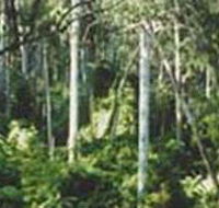 Lind National Park - Tourism TAS