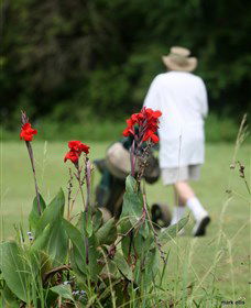 Teven Valley Golf Course - Tourism TAS 3