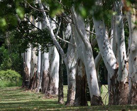 Teven Valley Golf Course - Tourism TAS 1
