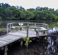 Walk on Water walking track - Tourism TAS