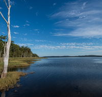Lake Innes Nature Reserve - Tourism TAS