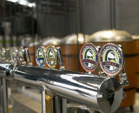 Black Duck Brewery - Tourism TAS 0