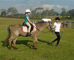 Port Macquarie Horse Riding Centre - Tourism TAS 0