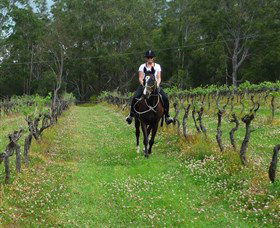 Port Macquarie Horse Riding Centre - Tourism TAS 1