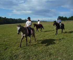 Port Macquarie Horse Riding Centre - Tourism TAS 5