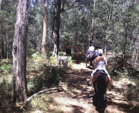 Port Macquarie Horse Riding Centre - Tourism TAS 4