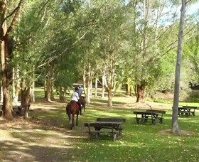 Port Macquarie Horse Riding Centre - Tourism TAS 6