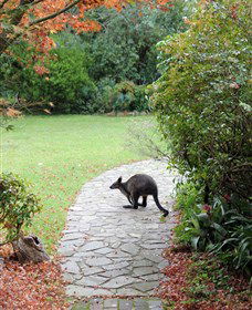 Narek Galleries - Tourism TAS 2