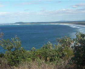 Delicate Beach - Hobart Tourism 0