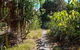 North Head Walking Track - thumb 0