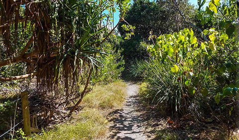 North Head Walking Track - Hobart Tourism 0