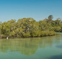 Tyagarah Nature Reserve - Hobart Tourism