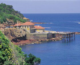 Merimbula Aquarium - Hobart Tourism 0