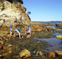 Sapphire Coast Marine Discovery Centre - Tourism TAS