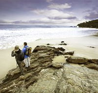 Wilderness Coast Walk - Tourism TAS