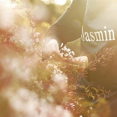 Jasmin Organics Skincare Farm And Factory - Tourism TAS 8