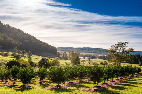 Fruit Salad Tree Company - Tourism TAS 7