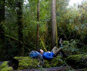 The Tarkine Drive - Tourism TAS 0