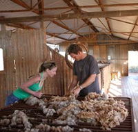Peron Homestead - Tourism TAS
