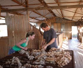 Peron Homestead - Tourism TAS 0