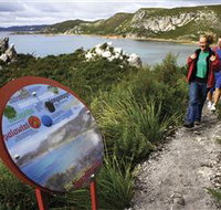 Rocky Cape National Park - Tourism TAS