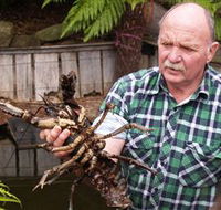 Lobster Ponds - Tourism TAS