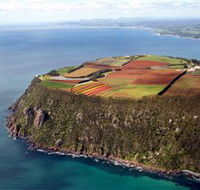 Table Cape - Tourism TAS