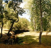 Oldina Picnic Area - Tourism TAS