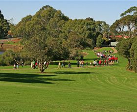 Richard Gutteridge Gardens - Tourism TAS 3