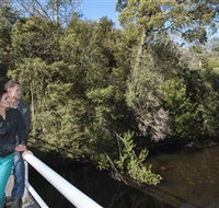 Hellyer Gorge - Tourism TAS