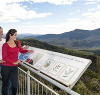Whyte Hills Lookout - Tourism TAS