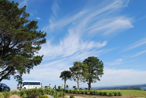 South Coast Scenic Tours - Tourism TAS 6